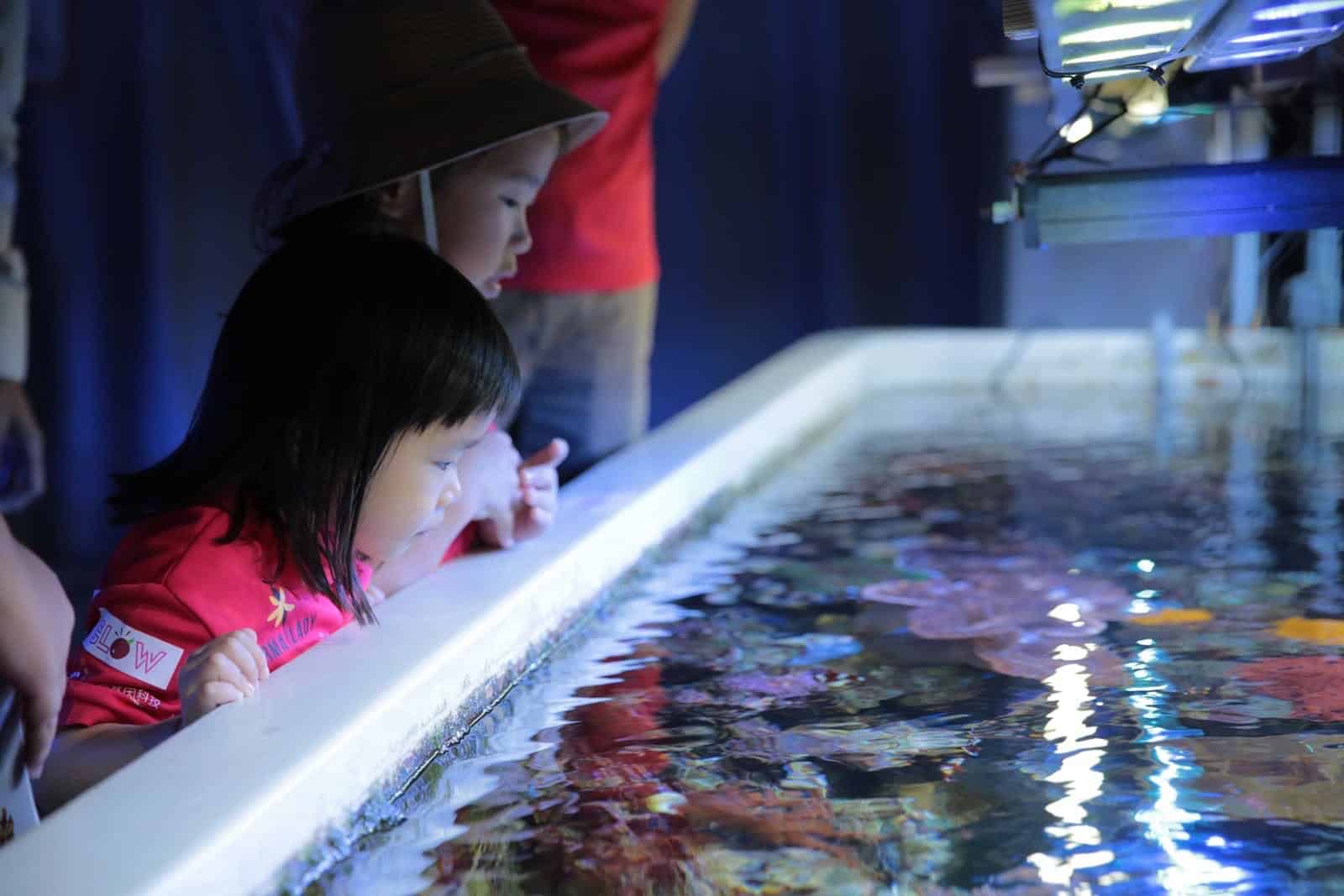 TCI大江生医投入海洋保护行动，与海生馆合作海龟野放活动6